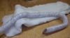 Wool roving (tube style) on top of batt